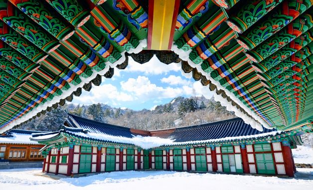 개구리 깨는 경칩에 \'하얀 눈\'으로 뒤덮인 인제 백담사