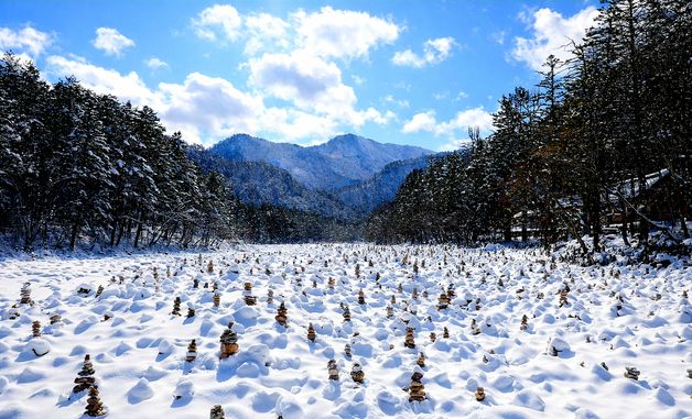 춘설로 뒤덮인 인제 백담사 일대