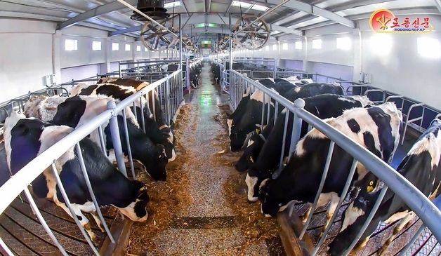 北, 삼광축산농장 축산 현대화 경험 소개
