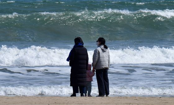 봄 파도와 함께