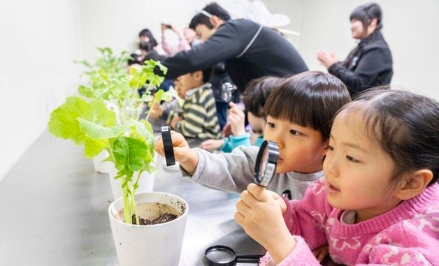 에버랜드, 어린이 체험 교육 프로그램 '이큐브스쿨' 멤버 모집