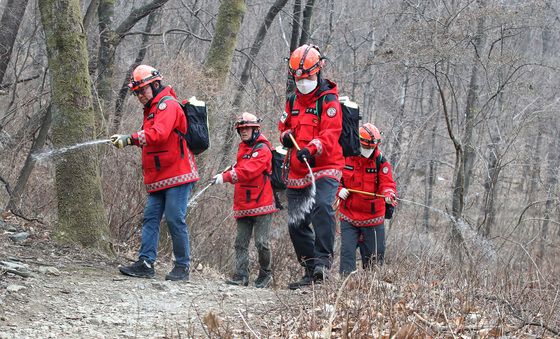 꽃샘추위 속 산불조심