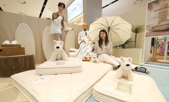 프리미엄 비건 매트리스 N32, 더현대 서울에 팝업스토어 오픈