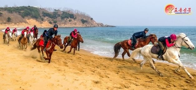 훈련중인 함흥승마구락부(그룹) 선수들