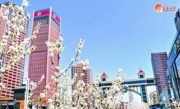 "봄향기 넘치는 수도"…북한, 평양 봄풍경 홍보