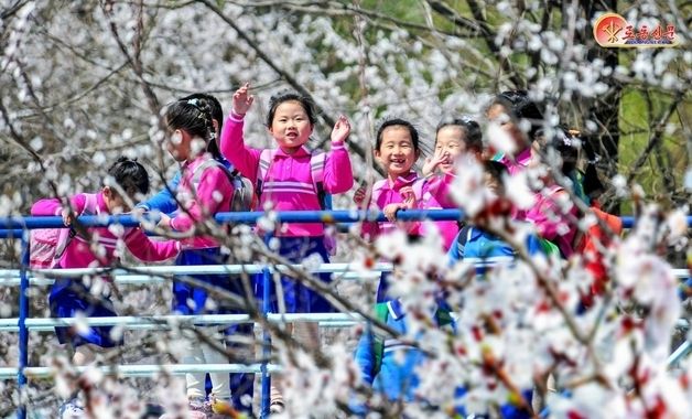 봄나들이 나선 북한 어린이들의 모습