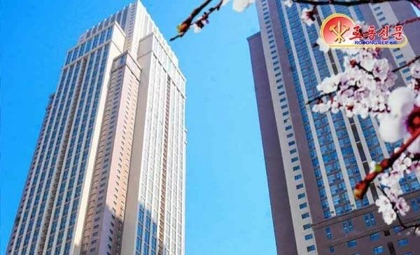 봄나들이 나선 평양 여성들의 모습