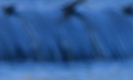 주변 살피는 장다리물떼새