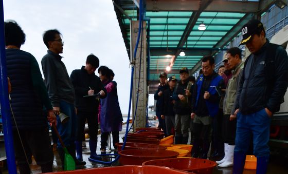 '대물 참돔 등장'