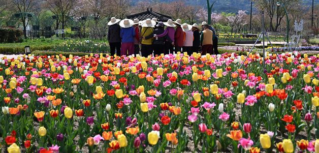 '밀짚모자 쓰고 튤립 구경해요'