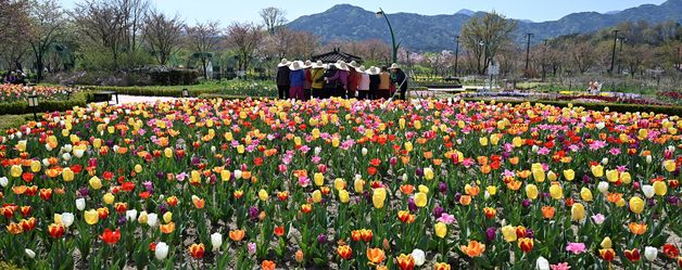 튤립 가득한 거창창포원