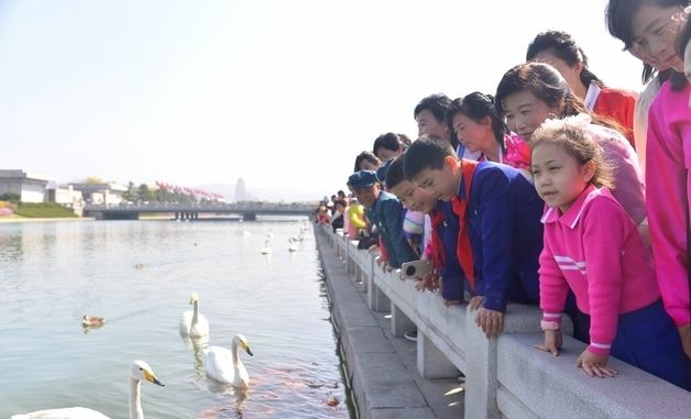 北 전역서 태양절 경축 열기…공연·무도회 이어져