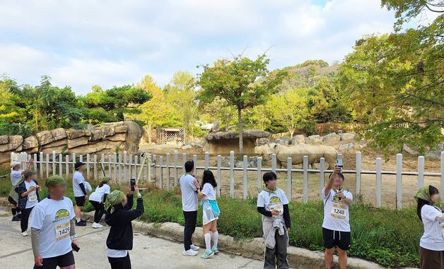 삼성전자, 에버랜드서 '갤럭시 워치런 @사파리' 러닝 이벤트 개최