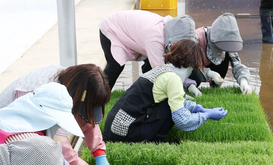 '육묘작업 합니다'