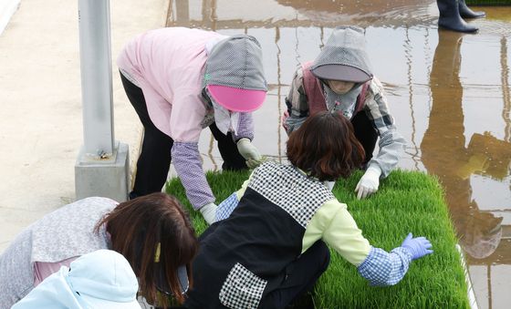 '육묘작업 합니다'