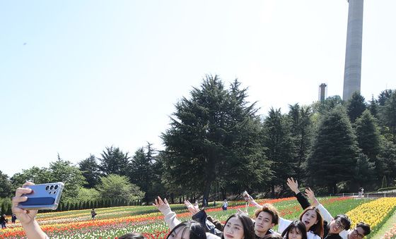 곱게 핀 튤립 배경으로 '찰칵'