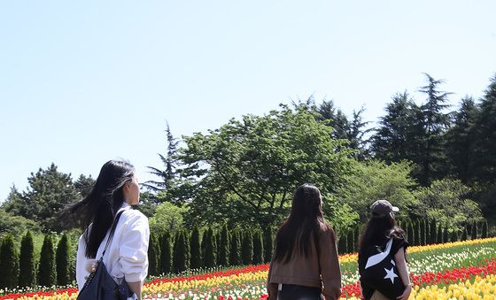 이월드 튤립 산책