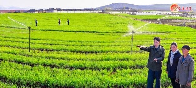 사리원시 미라남새농장, 농작물비배관리에 집중