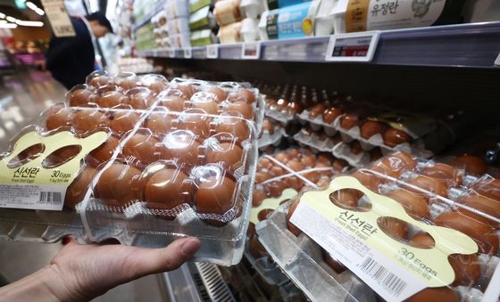 '태국에서 온 신선란'