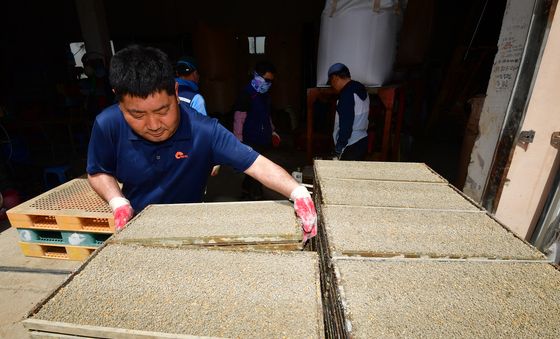 모판 준비하는 농심