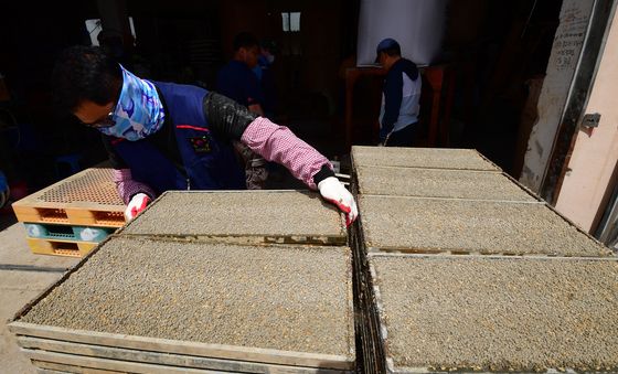 차곡 차곡 쌓이는 모판