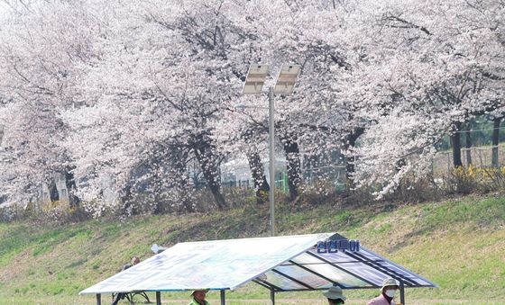 '양재천 천천투어' 도심 속 이색 뗏목 체험