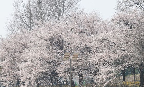 서초구, '양재천 천천투어 어르신 하루여행' 운영