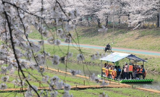 '벚꽃도 보고 뗏목도 타고'
