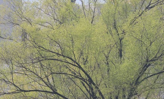 서초구, '양재천 천천투어 어르신 하루여행' 운영
