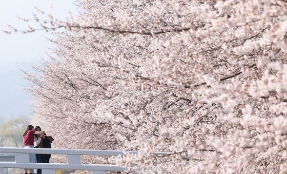 '봄이 왔어요'