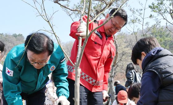 식목일에는 나무 심어요