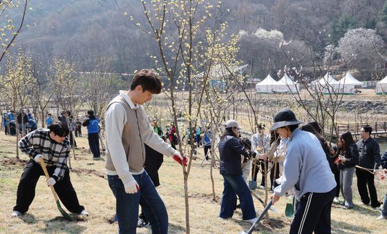 한마음으로 나무심는 대전문화재단 직원