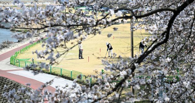 벚꽃 만개, 공 치기 좋은 날