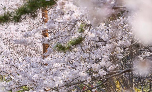 파라다이스 호텔 부산, '호텔 부산 X 선라이즈 바이탈리티 러닝 이벤트' 진행