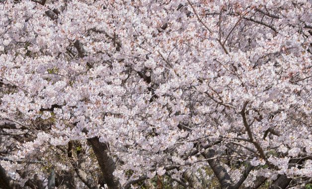 파라다이스 호텔 부산, 뷰오리와 협업 러닝 이벤트 진행