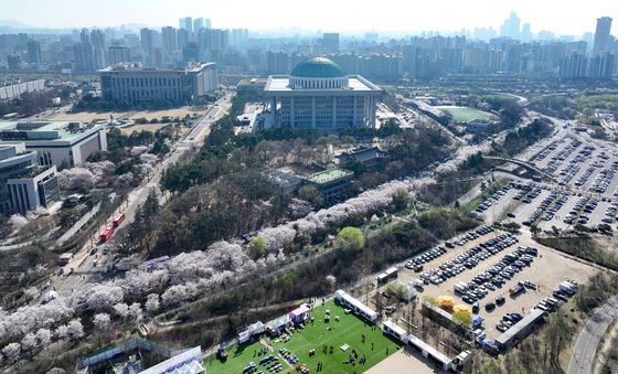 벚꽃 만개한 윤중로