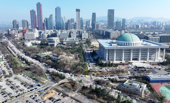 벚꽃 만개한 서울