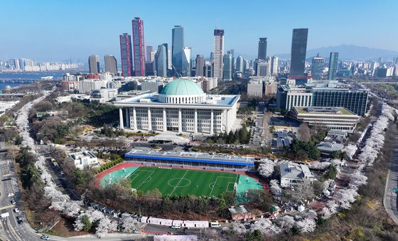 국회 감싼 벚꽃