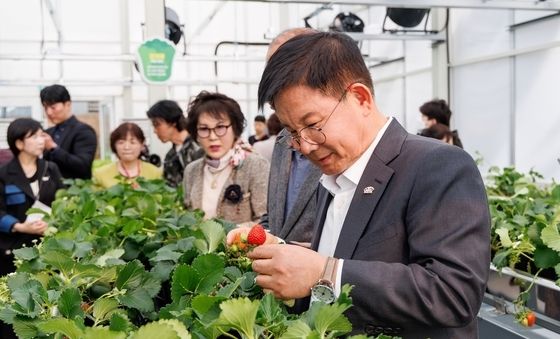 마포 스마트팜 체험관 오픈