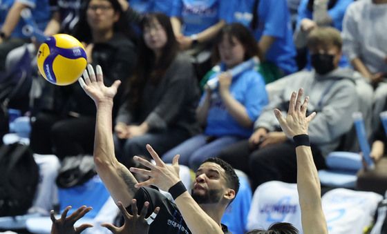 레오 '높이가 다른 공격'