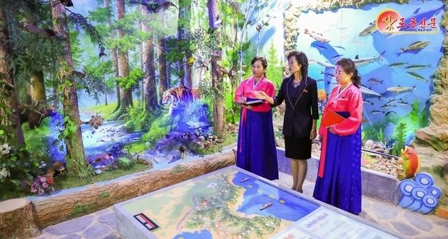 北, 정주시 정주소학교 조명…"교육환경 개선"