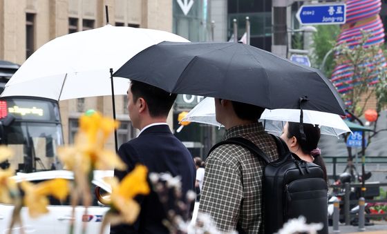 '곡우' 맞은 봄비