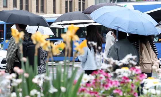 '곡우' 맞아 내리는 봄비