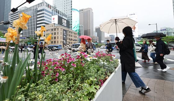 초여름 날씨 식혀주는 봄비