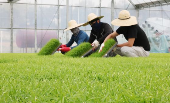 '한 해 농사 준비합니다'