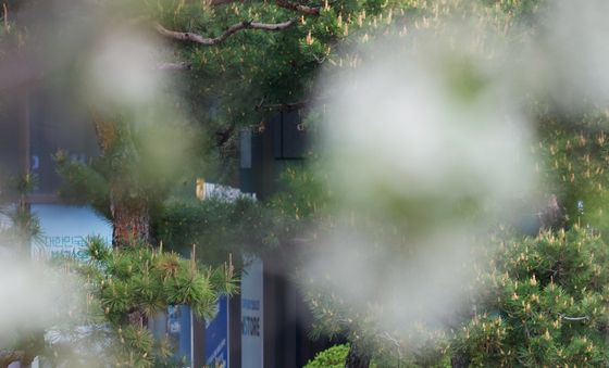 '인력거에서 봄 구경'