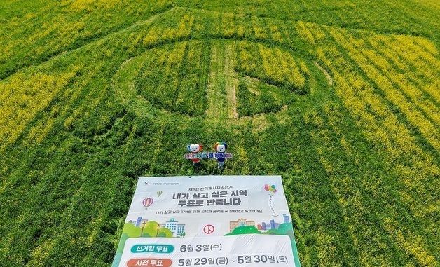 전국 최대 기표모양 유채꽃밭 '투표하세요'