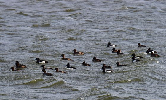 파도치는 형산강