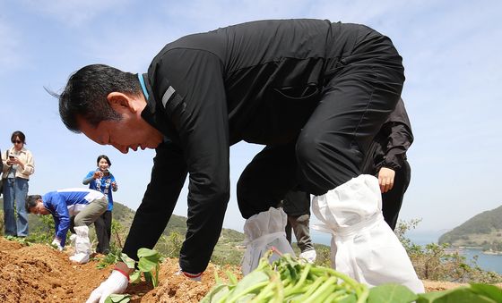 고구마 순 심는 정청래 대표