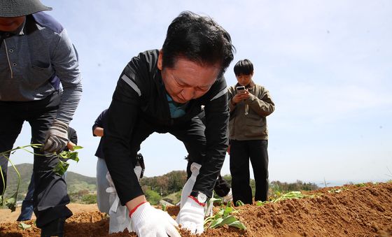 고구마 재배 민생현장 체험하는 정청래